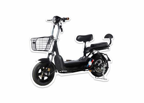 強化監(jiān)管 上海抽查電動自行車及相關(guān)產(chǎn)品55批次,9批次不合格