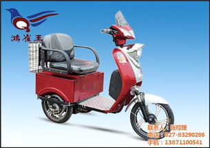 電瓶車保養(yǎng) 鴻雀王電動車廠家 在線咨詢 青海電瓶車